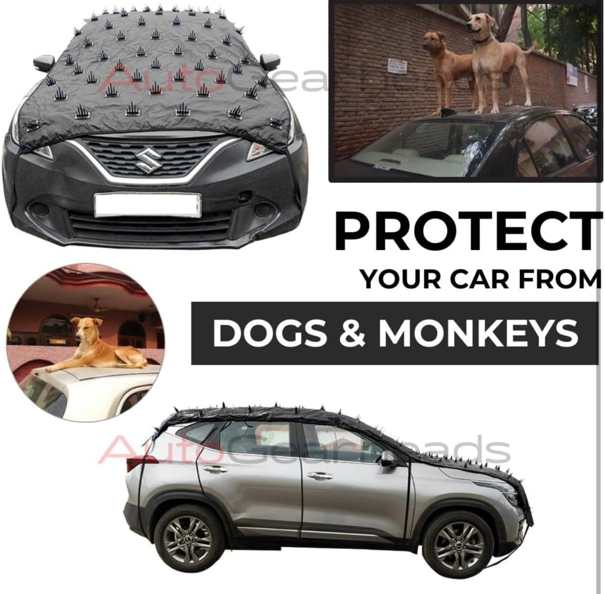 GENFRID Car Protection Cover from Dogs, Pets and Animal Complete Protection Dog Protection Car Cover for Both roof and Bonnet Attach Full Car Protection with Spikes for Big Cars 1pc (14ftX55Inch)